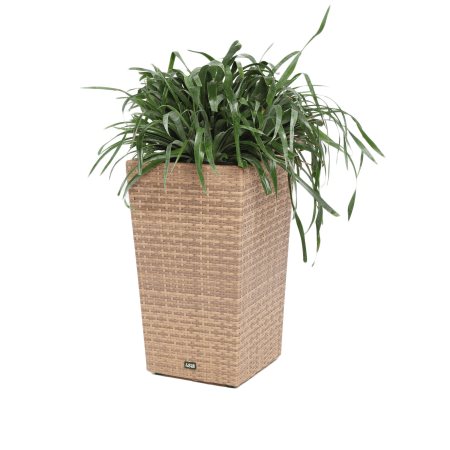 картинка Кашпо Капучино от компании CORSASTYLE